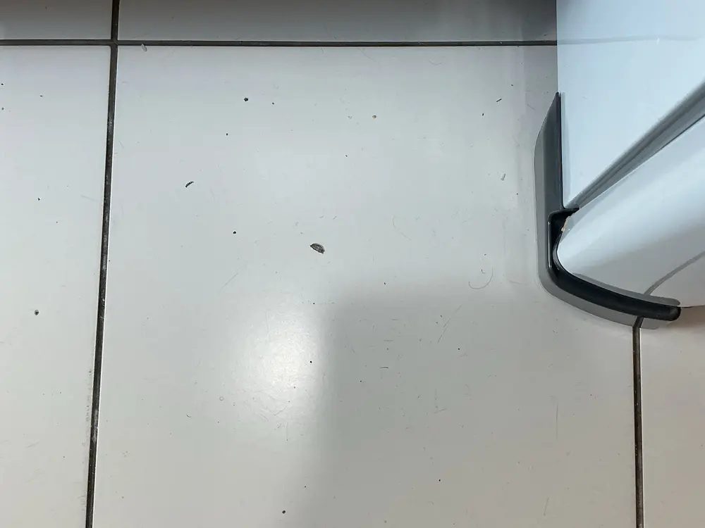 Piso cerâmico com rejunte escurecido e sujidade, registrado em vistoria